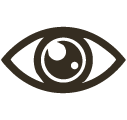 LB-VISION